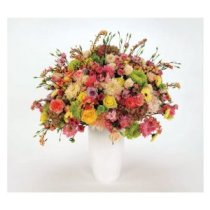 24 SCHEIBEN Tocotronic-cover 51wjS4zEq2L._SL500_AA300_